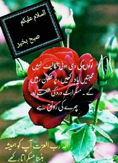 Featured image of post Urdu Dua Beautiful Subha Bakhair Images : Subha ki dua daily prayer roz marra ki duain.