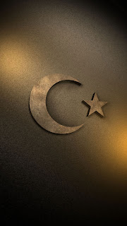 turk bayragi altin stil resimleri 3