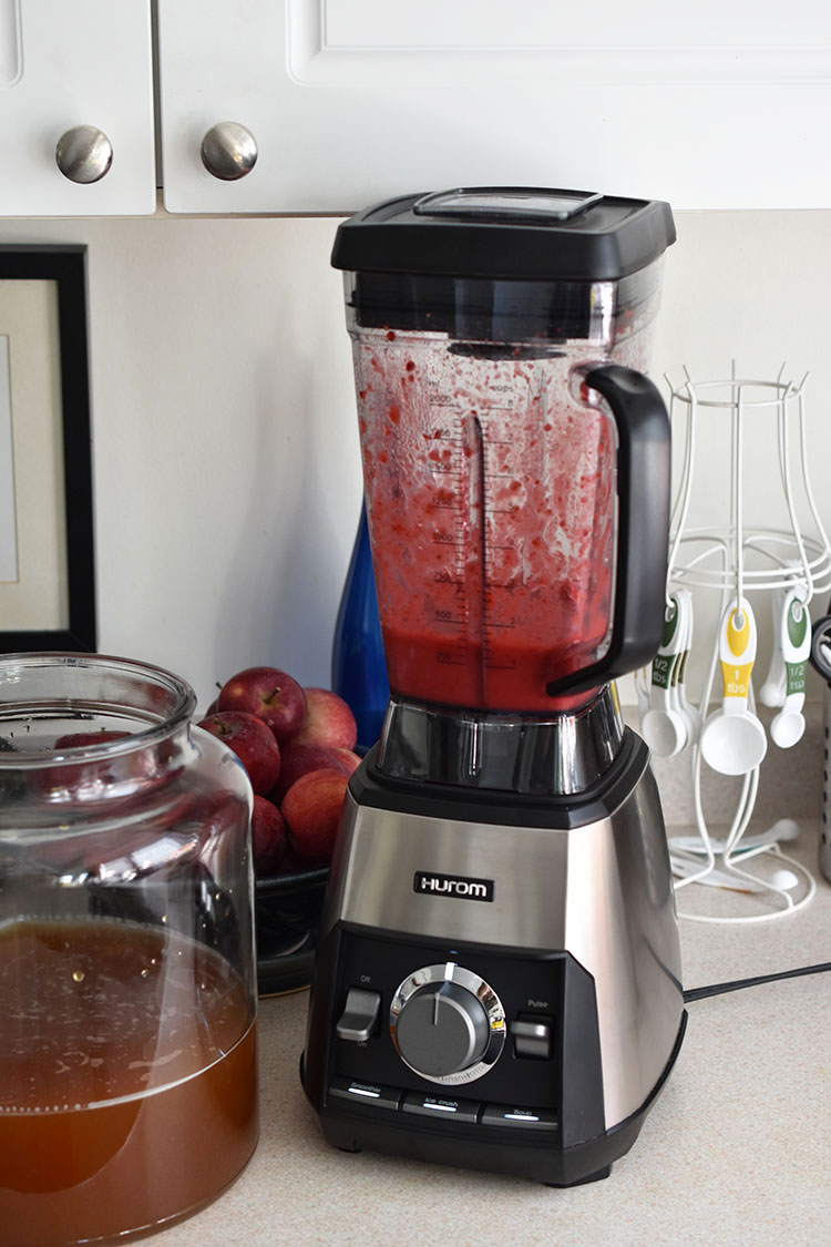 Woman in Real Life Hurom Blender Review & A Tim Hortons Style Vegan