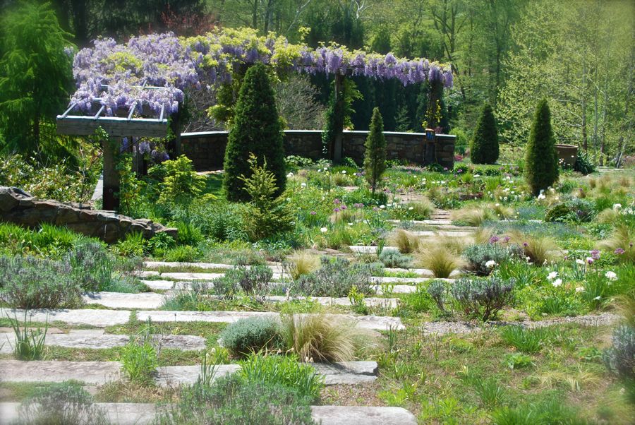 As you move to the left, you passed the circle lawn and soon find yourself at the top of the gravel staircase. The beautiful wisteria pergola curves around the lawn at the bottom. Once you descend the densely planted steps to this lawn, you will find a nice place to view the ponds further down the hill. 