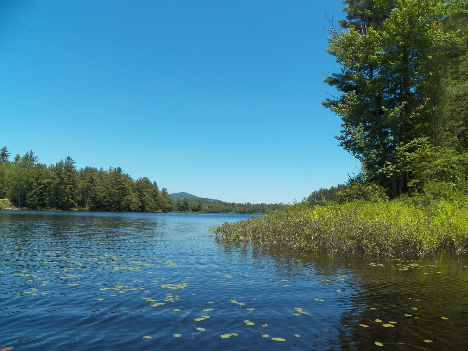 Quiet Kayaking in New York State Rollins and Floodwood Ponds, part 3