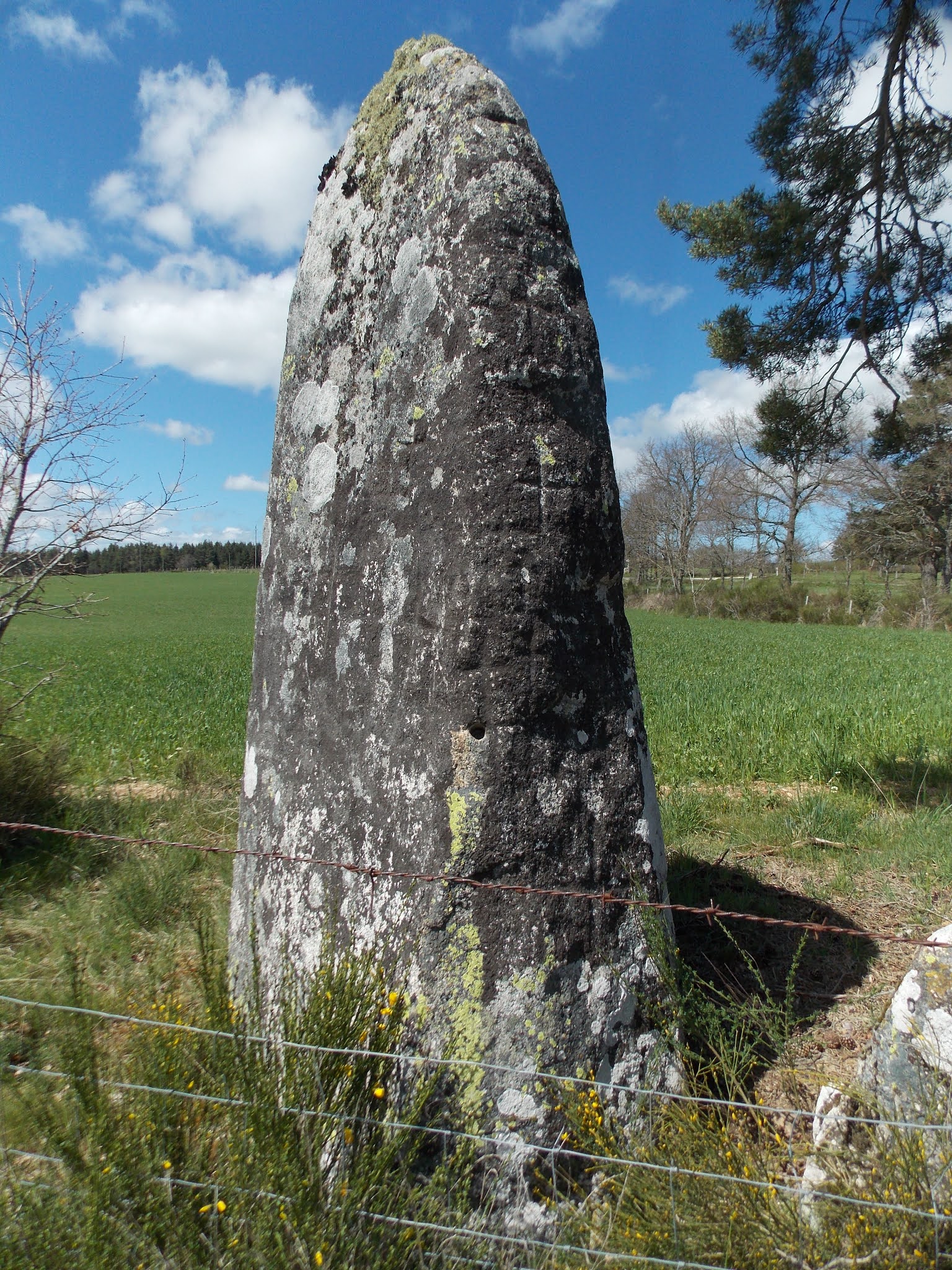 SaintPierre le vieux 48200 Le menhir
