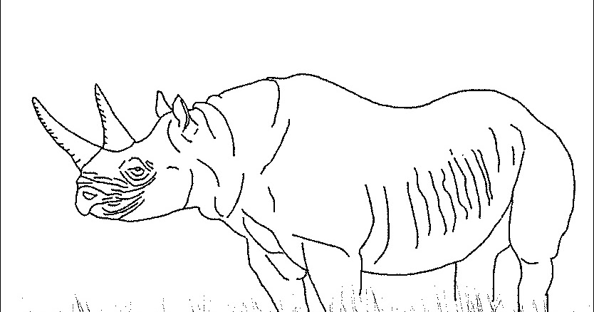 Coloring book pdf download