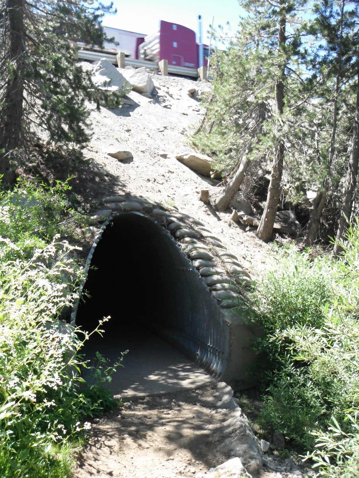 Daily Adventures: Donner Lake Rim Trail - PCT Loop