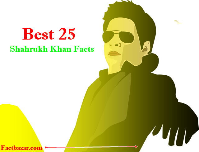 shahrukh khan,shocking facts about shah rukh khan,Actor & Actress Facts,shahrukh khan facts,shahrukh khan movies,25 things you didnt know about shah rukh khan,