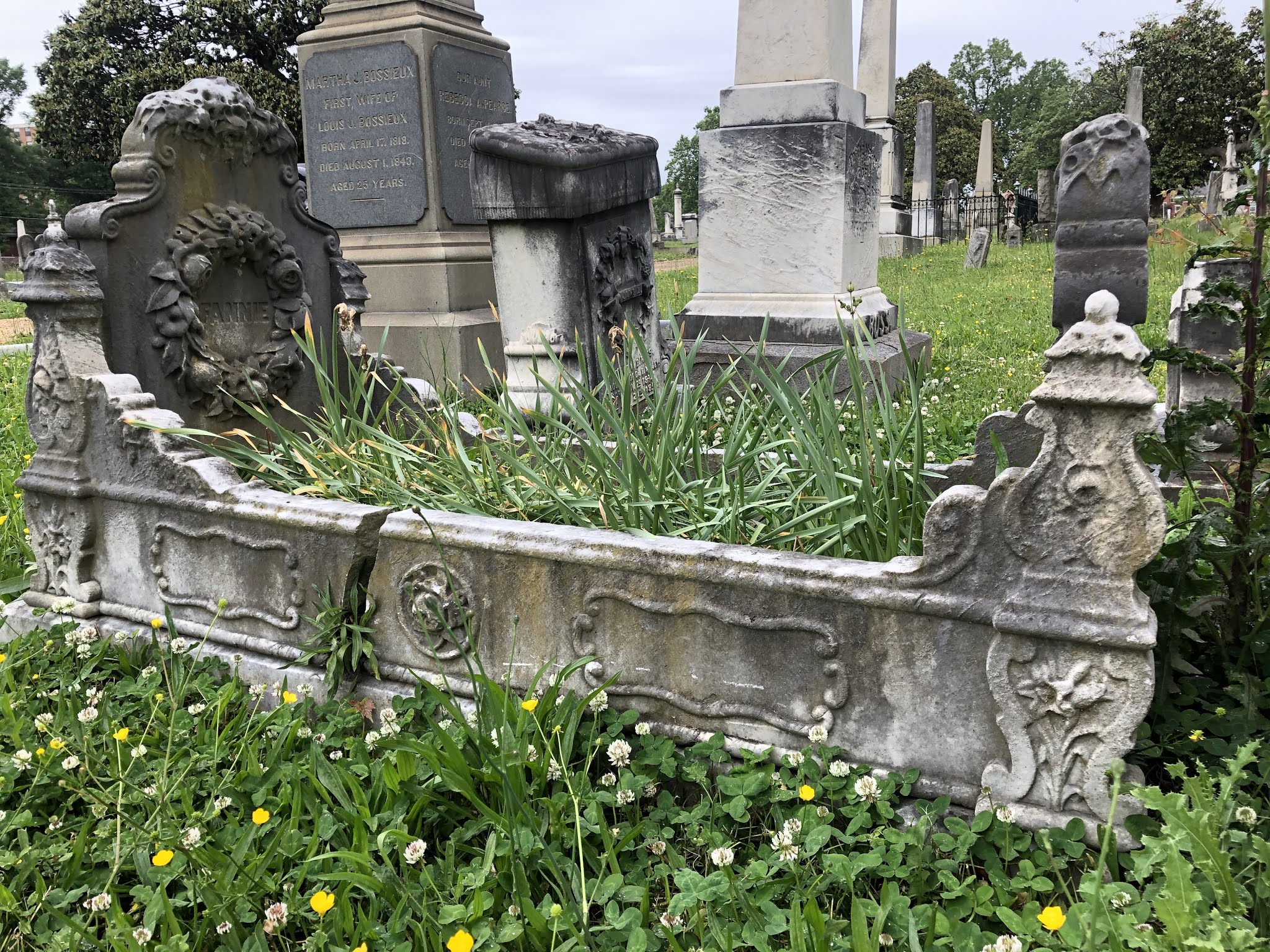 Goth Gardening ^o^:a cradle grave garden...