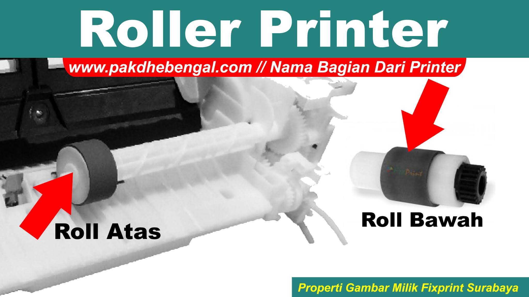Penamaan Bagian Bagian Printer Dan Fungsinya Nama Nama Part Printer