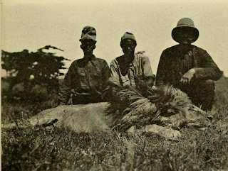 Erkek aslan, Mayıs 1909'da Sotik Ovası'nda vuruldu.