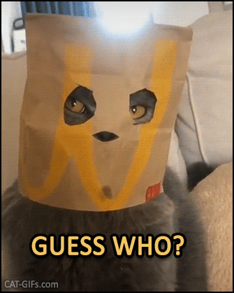 Cat GIF with caption • GUESS WHO? Funny blue cat with head hidden under a McDonald's Paper Bag mask, haha OWNED! Cat GIF with caption • GUESS WHO? Funny blue cat with head hidden under a McDonald's Paper Bag mask, haha OWNED!
