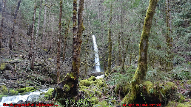 Columbia River Gorge Scenic Waterfalls