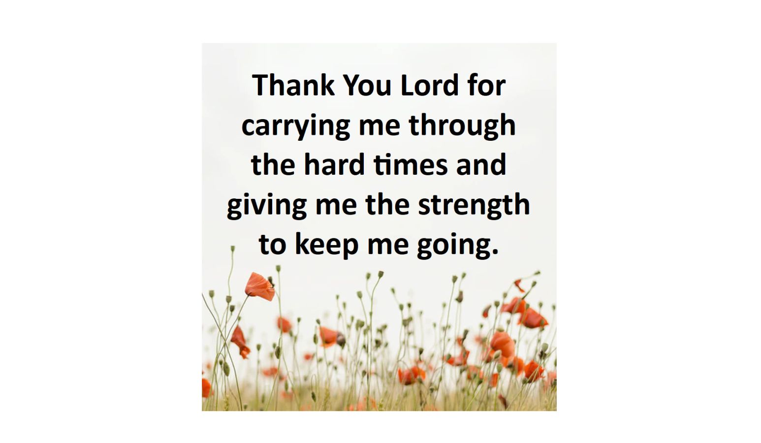 thank you god for everything you have given me