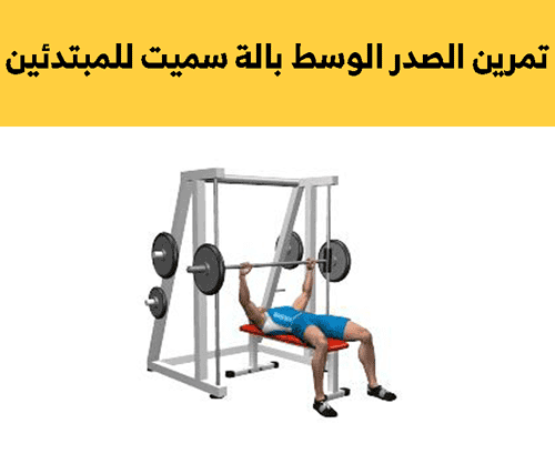 تمارين الصدر للمبتدئين