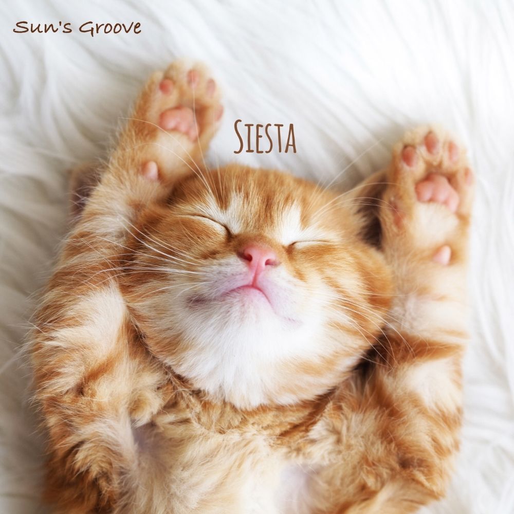 Sun’s Groove – Siesta (Vocal by Yellow coke) – Single