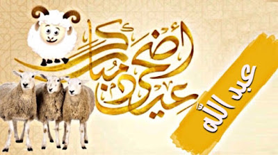 صور عيد الاضحى بالاسم لتهنئة اسمك على صور و بطاقة تهنئة بعيد الاضحى صور و بطاقات عيد الاضحى بإسمك أو اسم شخص عزيز عليك اجمل بطاقات تهنئة العيد الاضحى Aid El Kebir/Aid Al Adha باسمك ، اجمل صور العيد الاضحى باسمك ، بطاقات معايده باسمك تنزيل خلفيات العيد الاضحى بإسمك ، صور عيد الاضحى مكتوب عليها اسمك أو اسم شخص عزيز عليك ، تهاني عيد الاضحى المبارك بإسمك ، Photos Eid ul adha by name to congratulate ، صور عيد الاضحى بالاسم لتهنئة بطاقة تهنئة بعيد الاضحى تحمل اسمك أو اسم شخص عزيز عليك بارك لأصدقائك بالعيد من خلال بطاقة معايدة بِأَسْمَائِهِمْ صور عيد الاضحى بالاسم لتهنئة اسمك على صور و بطاقة تهنئة بعيد الاضحى صور و بطاقات عيد الاضحى بإسمك أو اسم شخص عزيز عليك اجمل بطاقات تهنئة العيد الاضحى Aid El Kebir/Aid Al Adha باسمك ، اجمل صور العيد الاضحى باسمك ، بطاقات معايده باسمك تنزيل خلفيات العيد الاضحى بإسمك ، صور عيد الاضحى مكتوب عليها اسمك أو اسم شخص عزيز عليك ، تهاني عيد الاضحى المبارك بإسمك ، Photos Eid ul adha by name to congratulate ، صور عيد الاضحى بالاسم لتهنئة بطاقة تهنئة بعيد الاضحى تحمل اسمك أو اسم شخص عزيز عليك بارك لأصدقائك بالعيد من خلال بطاقة معايدة بِأَسْمَائِهِمْ