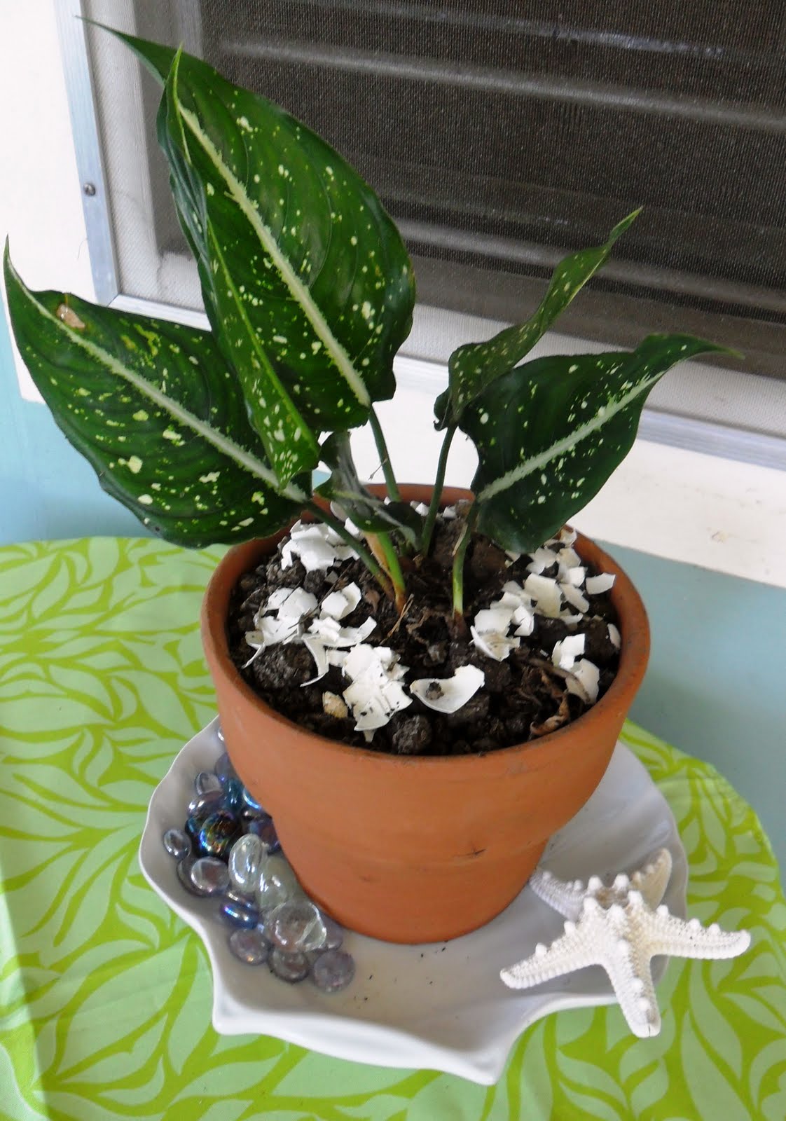 Travelling the Circle Line Ordinary Time.