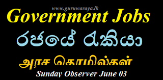 Government Jobs on Sunday Observer June 03