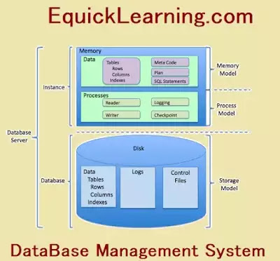  What is DBMS in hindi