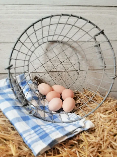 metal basket full of eggs on bale of straw
