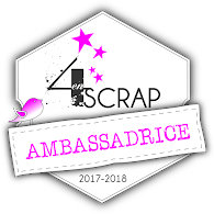 Ambassadrice 4enscrap