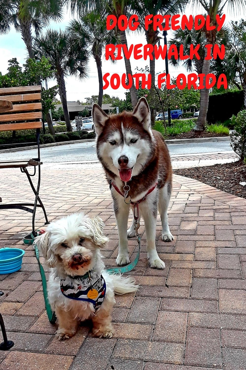 Dogs Luv Us and We Luv Them DOG FRIENDLY WALKING TRAIL IN JUPITER, FLORIDA