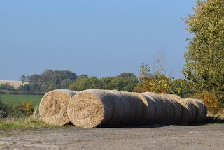 Bales of Hay on a sunny day