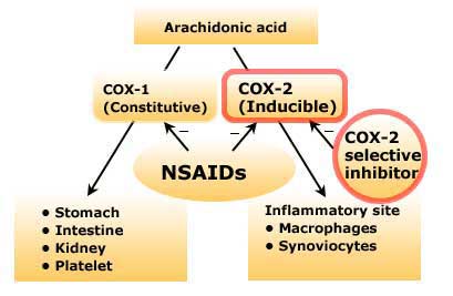 Classification of reactions to nonsteroidal antiinflammatory drugs