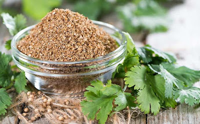 coriandolo coriander spices incorporate bbq dorismarket