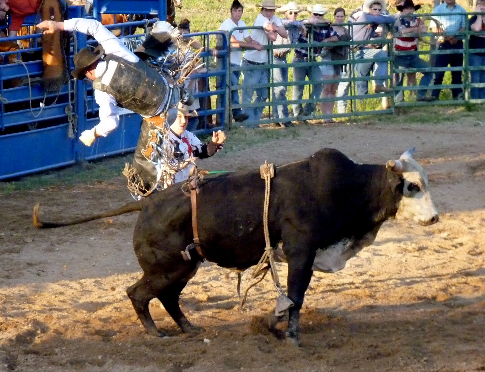 Double JJ Pony Tales: Rodeo Round-Up