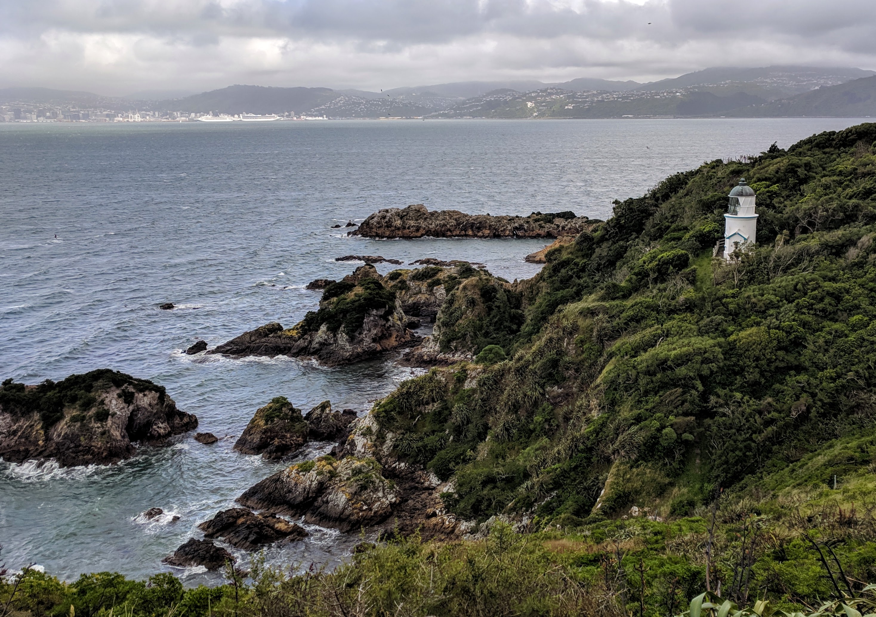 View towards Wellington City from Matiu / Somes Island