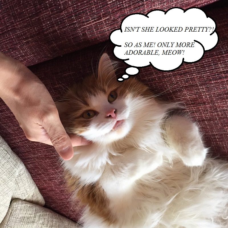 Why You Must Add Restylane Skincare to your Beauty Routine? Awarded