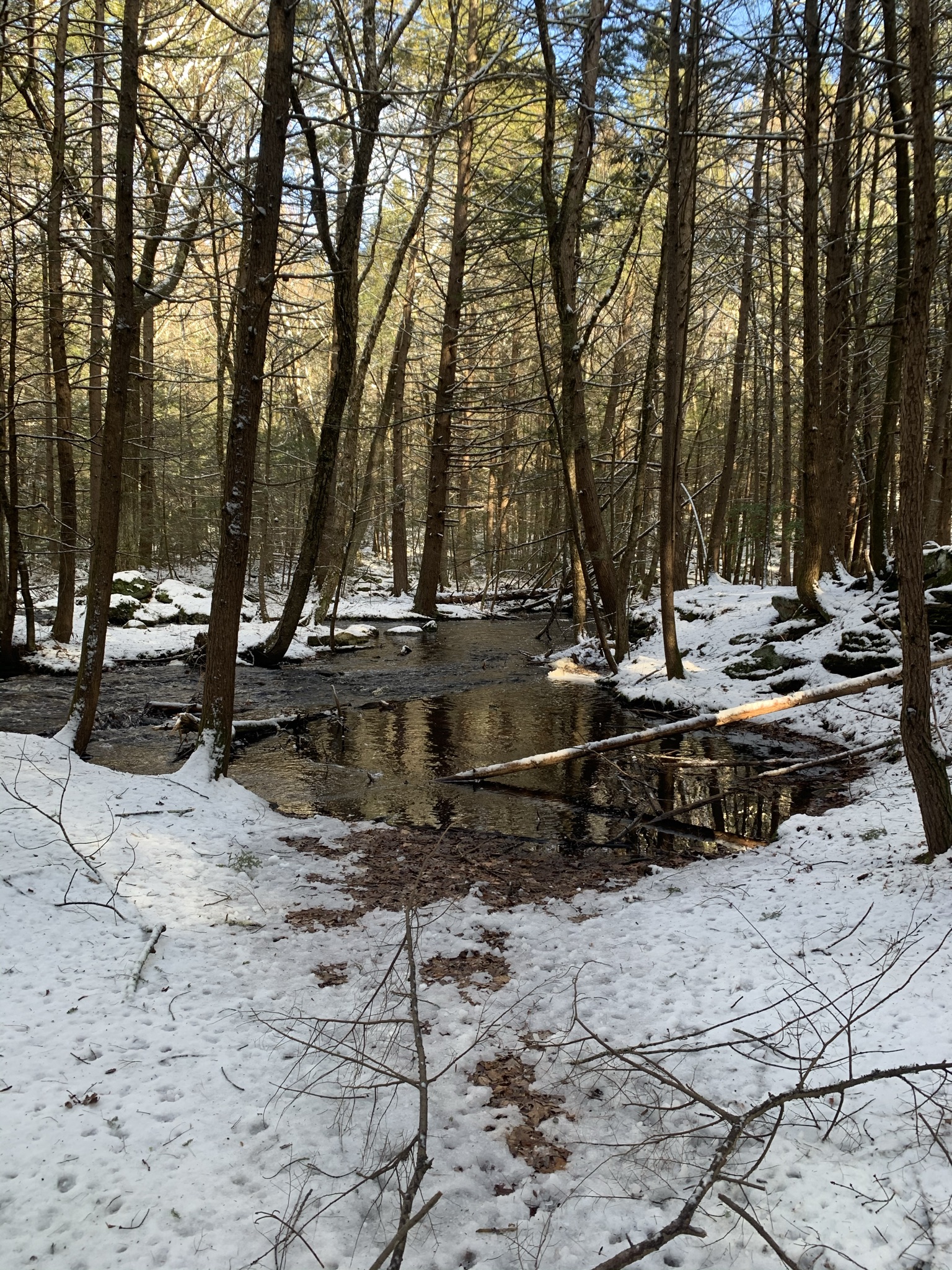 JCXC Trout Brook Reservation (Holden, MA)