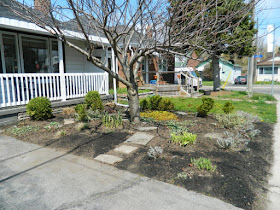 Birch Cliff Toronto spring garden clean up after by Paul Jung Gardening Services