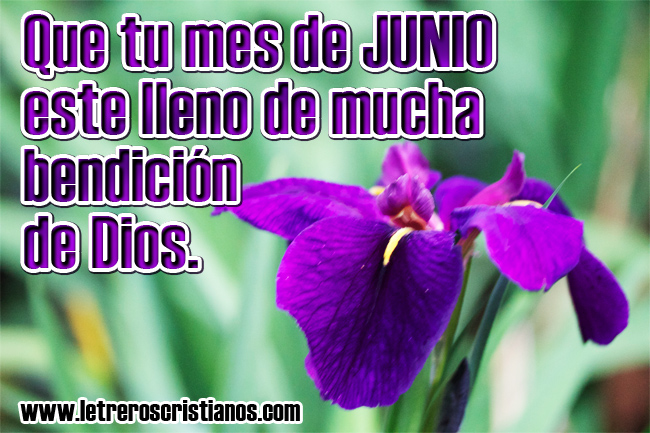 Resultado de imagen para bendecido junio