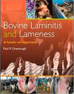 A Hands on Approachs bovine laminitis and lameness A Hands on Approachs bovine laminitis and lameness