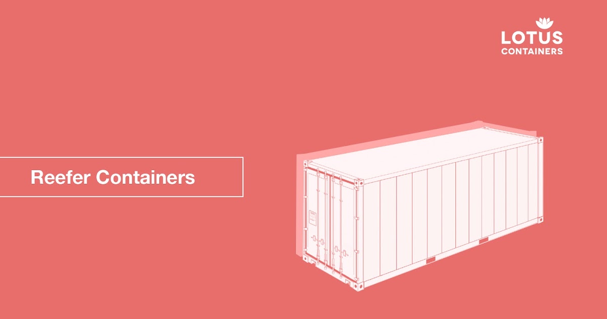 How Does Reefer Containers Work? LOTUS Containers