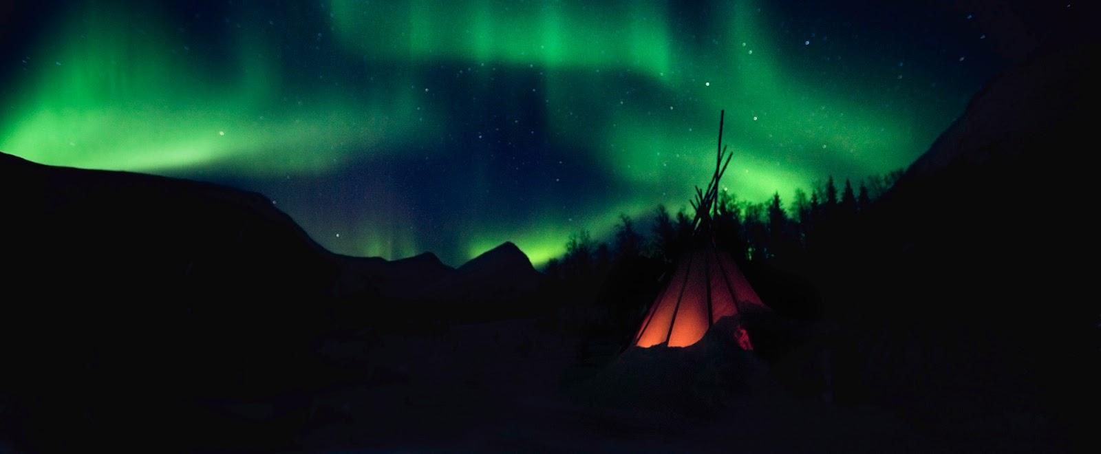 Lapland, noorderlicht & more: pinetree lodge