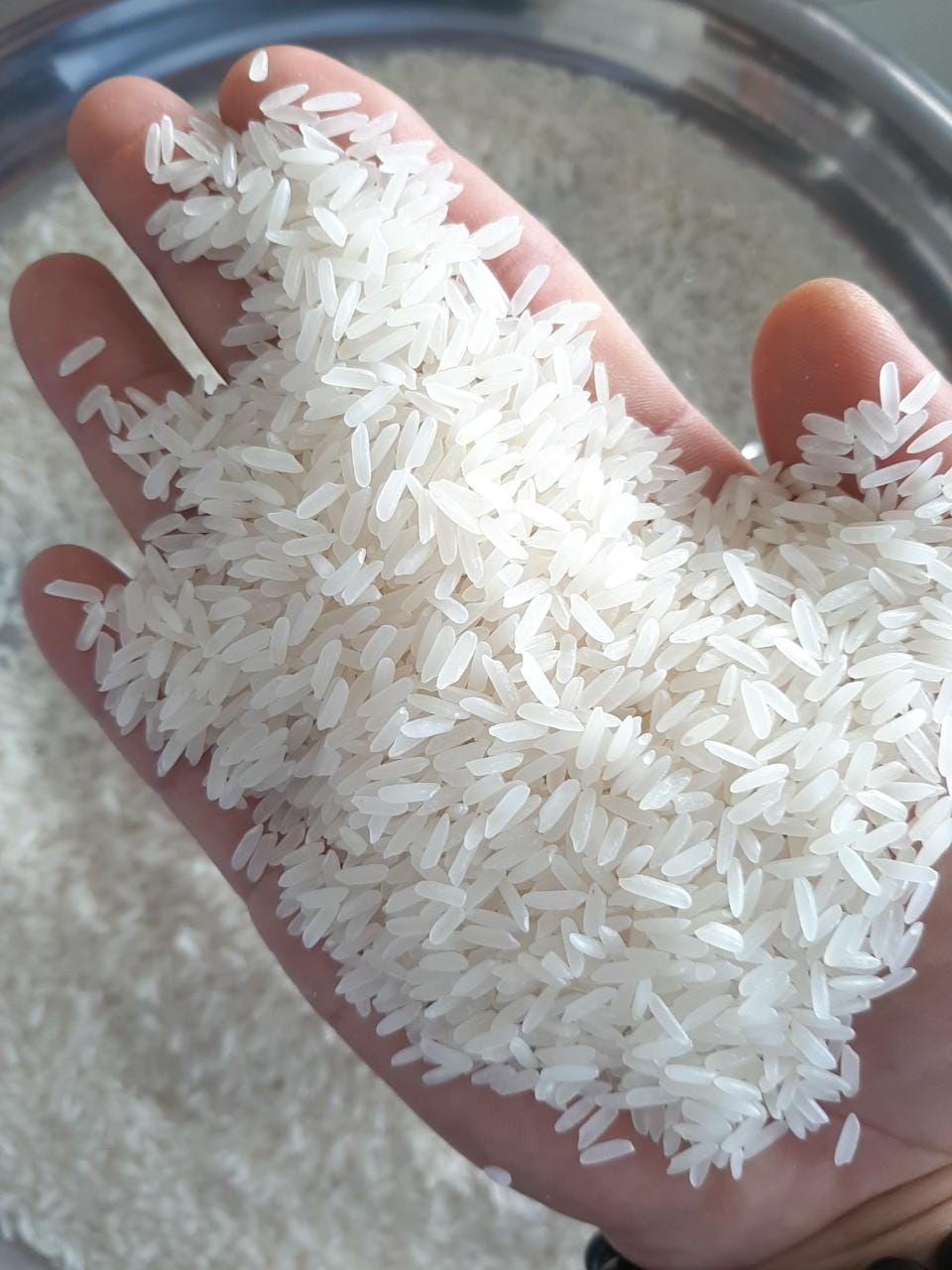 Which one is healthier between white rice and white jasmine rice?