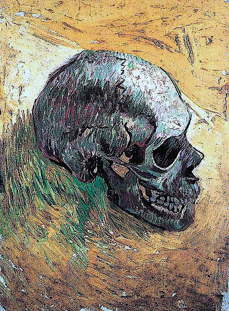 Vincent van Gogh a Vincent van Gogh painting of a human skull in profile