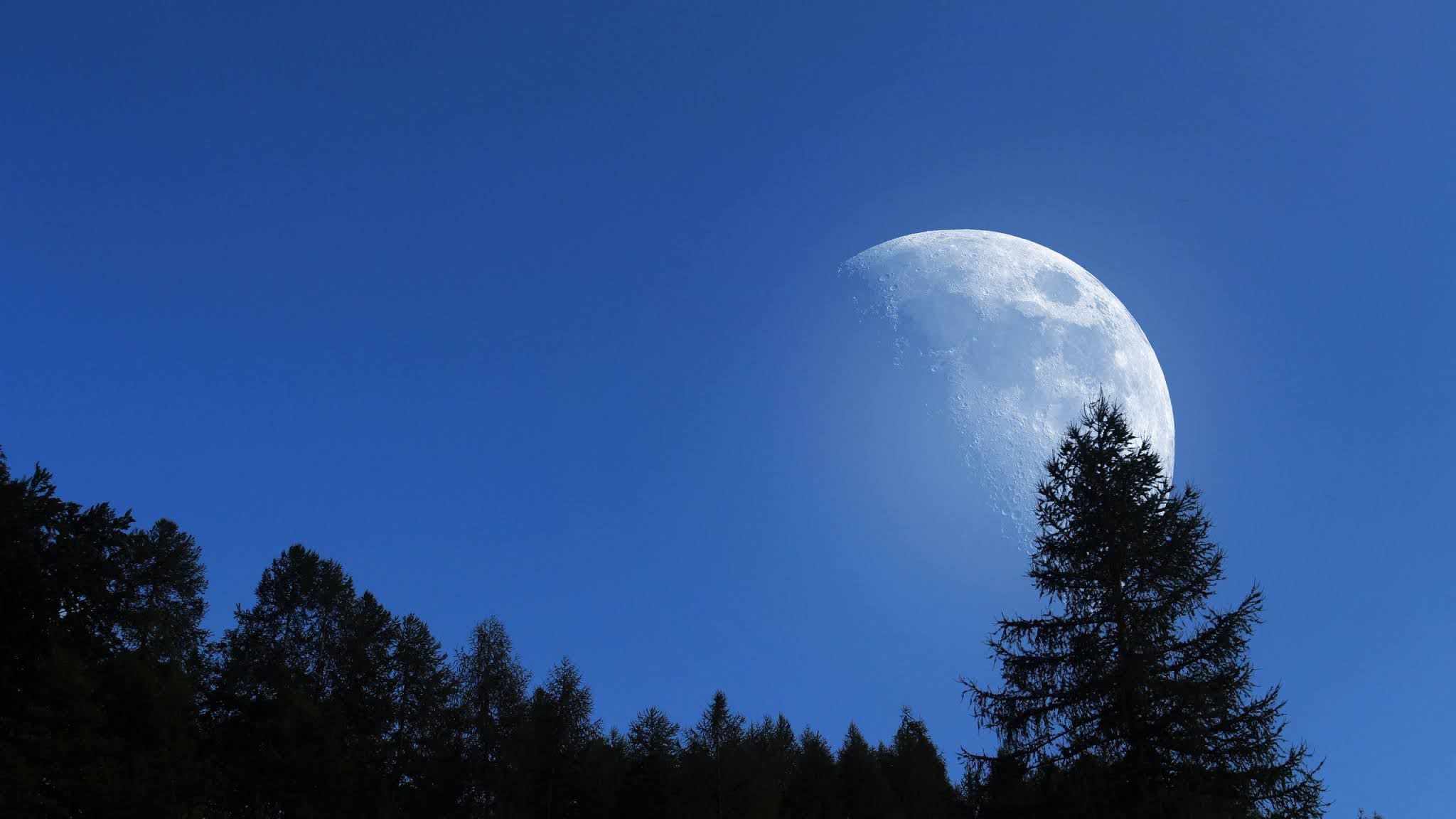 Big Moon Trees Sky Night Nature Download Wallpapers 2021