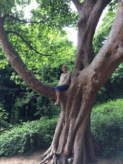older woman climbing a tree