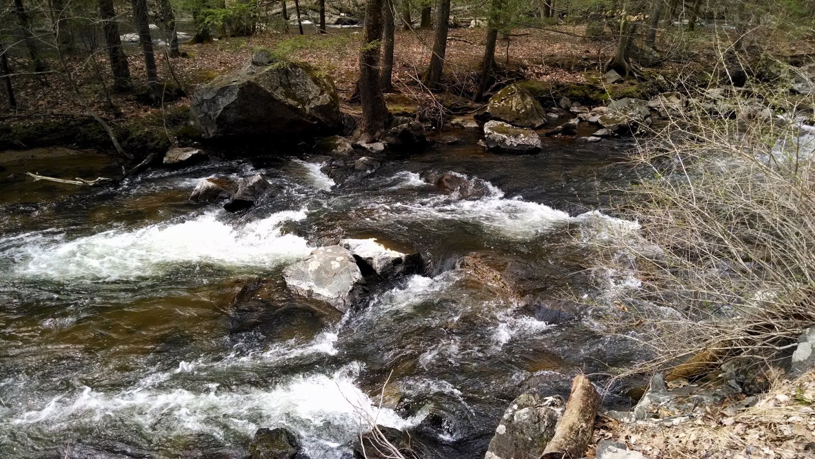 Тропа Колумбия - Калифон, Нью Джерси (Сolumbia Trail - Califon, NJ)