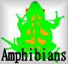 Amphibians