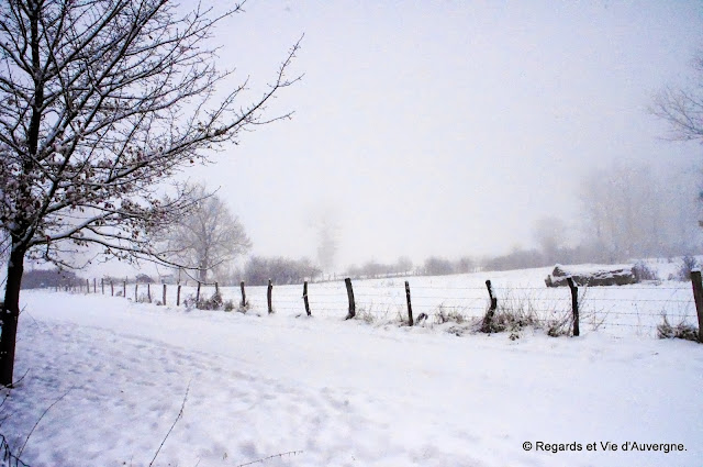 Nature enneigée hiver, neige, arbres