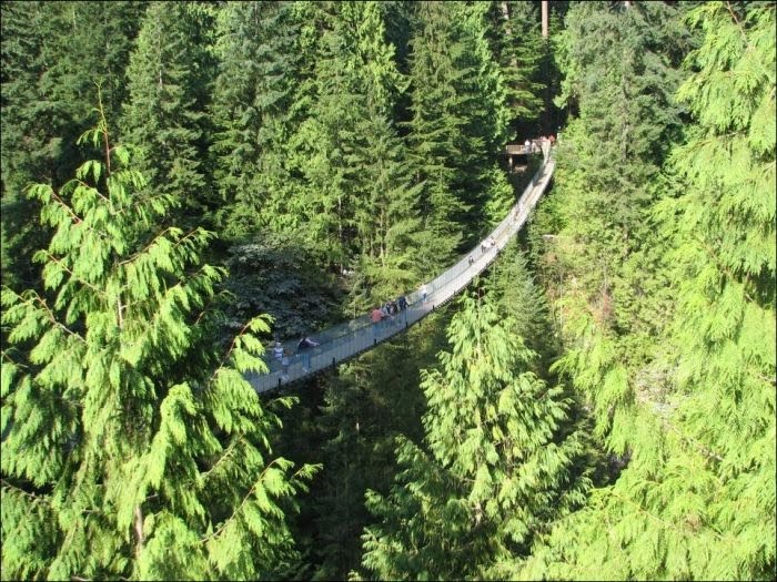 ellergy THE AMAZING CAPILANO SUSPENSION BRIDGE
