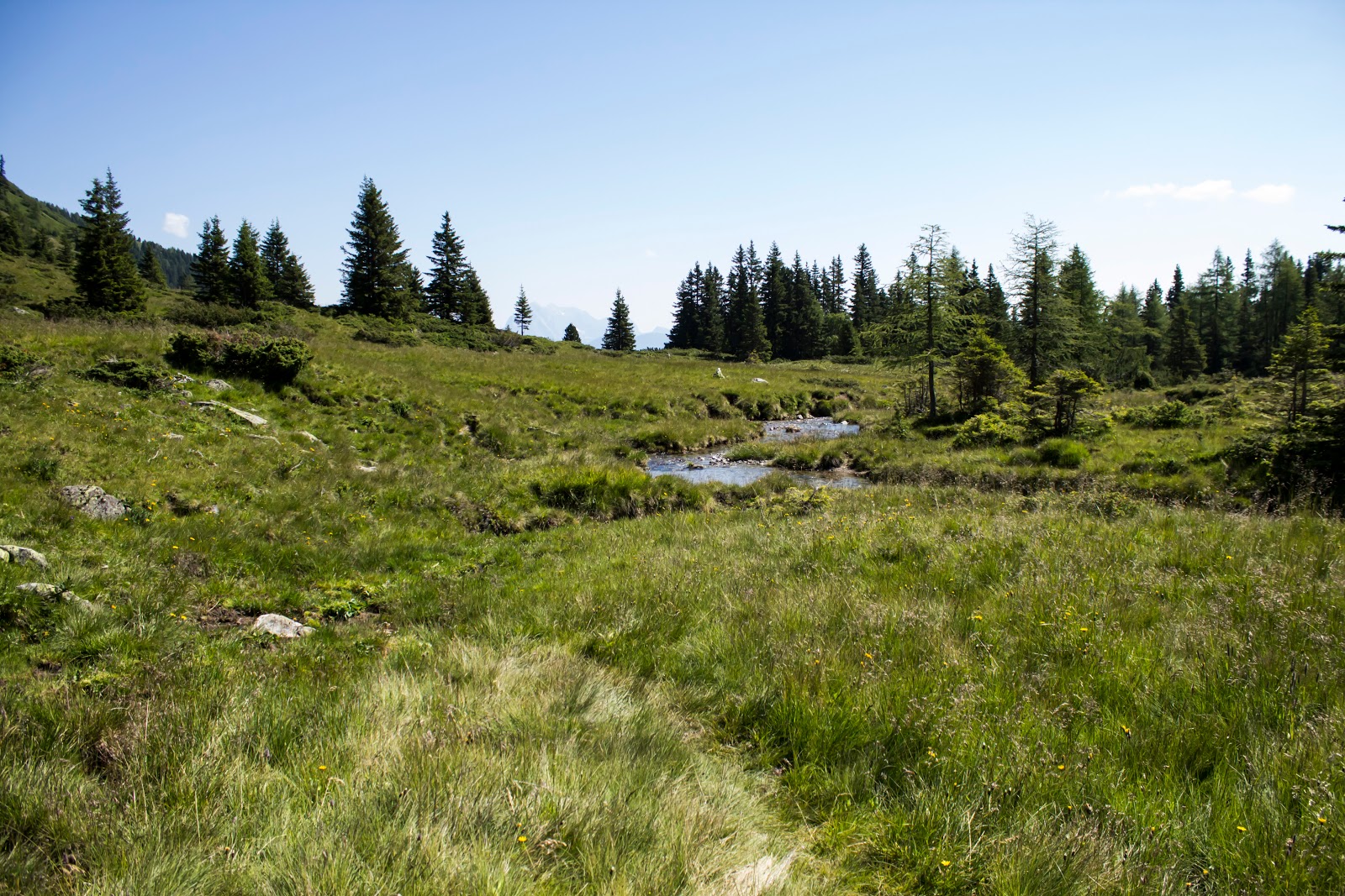 2019 A New Year With Many Possibilities