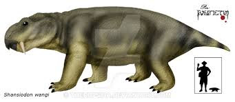 Shansiodon