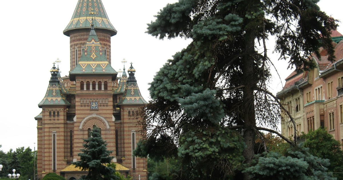 Jurnal de gradina Timisoara Piata Operei