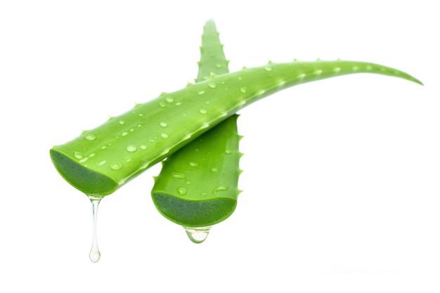 Aloe Vera Gel