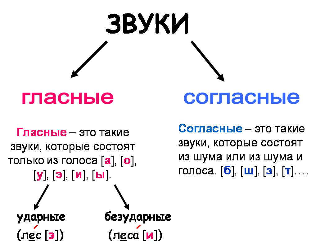 Знакомство С Фонетической Системой Русского Языка