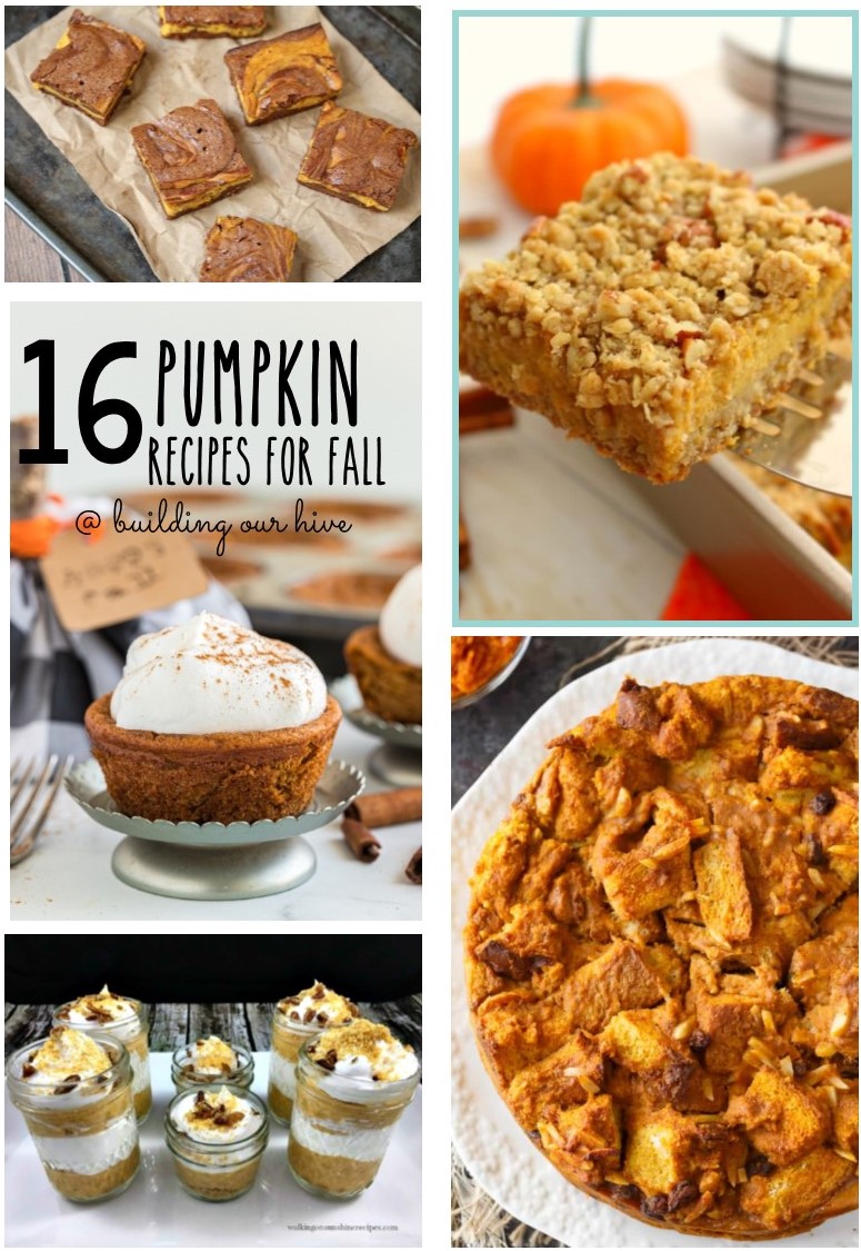 Building Our Hive: 16 Pumpkin Recipes for Fall